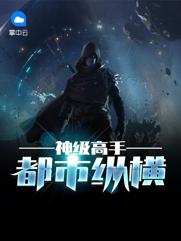 神级高手都市纵横小说