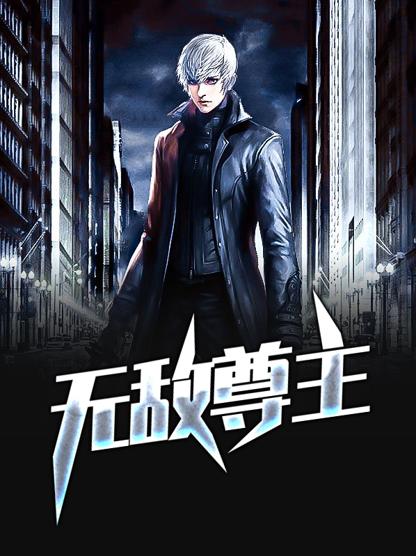 无敌尊主是什么小说的境界
