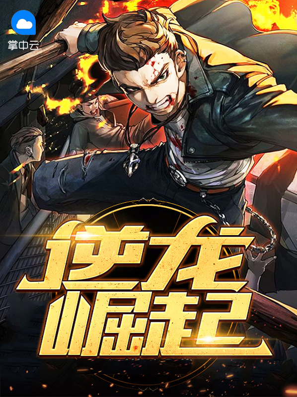 崛起岚龙装备