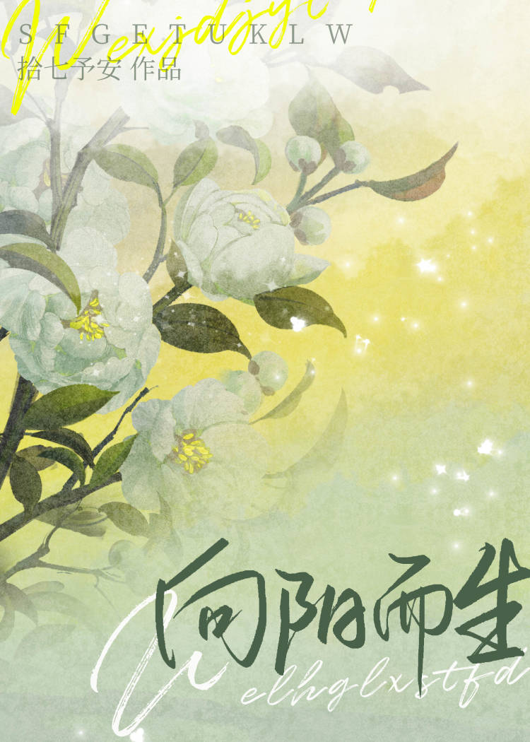 我就宠我老婆怎么了[娱乐圈]by拾七予安