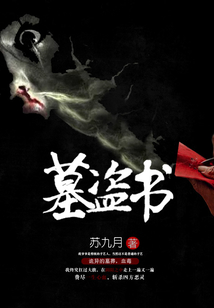 墓盗书下载