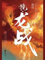 镜龙战小说