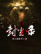封尘录