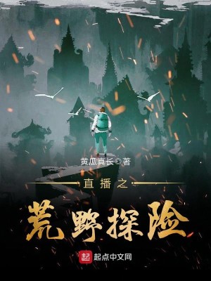 荒野探险游戏攻略