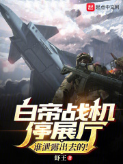 白帝战机停展厅?谁泄露出去的!全文免费阅读