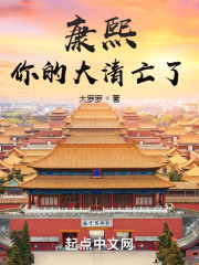 康熙,你的大清亡了洪都中文网