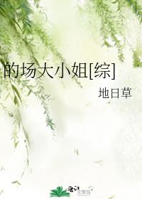 的场大小姐[综]txt