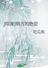 纲吉xanxus
