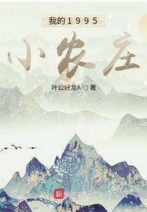 我的1995小农庄起点