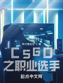 csgo之职业选手TXT下载