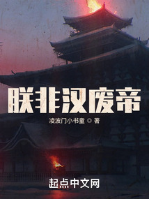 朕非汉废帝tt