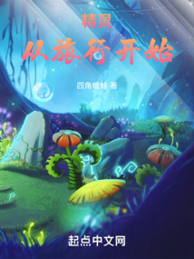 精灵从旅行开始小说