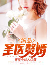 绝品医武赘婿TXT下载