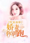 恃宠而骄：娇妻你别跑