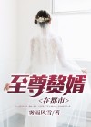 都市至尊赘婿免费全文阅读