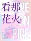 看那烟花看那雨电视剧下载
