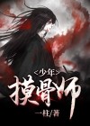 摸骨少年小说在哪看