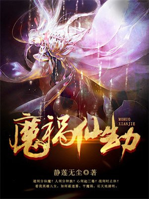 魔仙劫小说