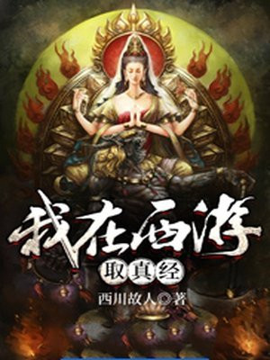 真假西游之真经