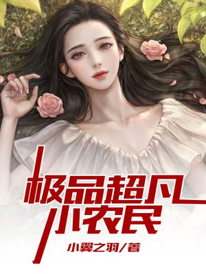 超凡小农民TXT
