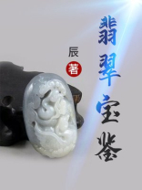 翡翠宝鉴辰小说