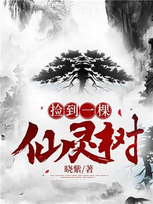 捡到了一座仙岛