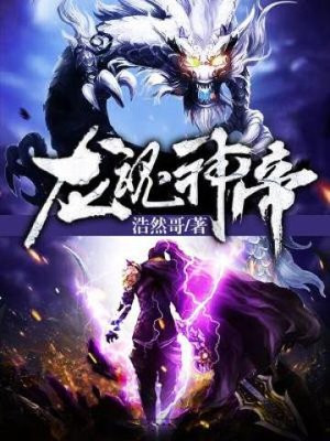 龙魂神帝 小说