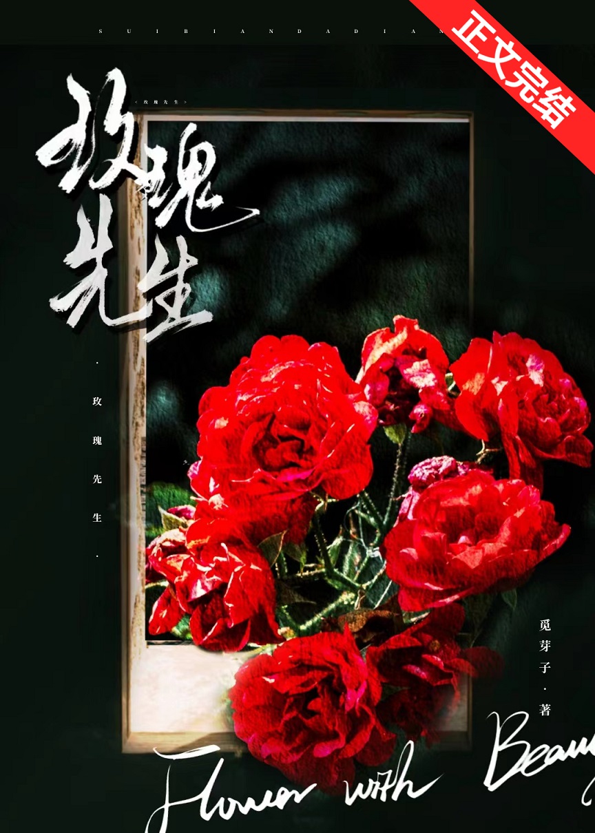 玫瑰先生小说