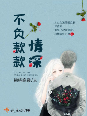不负情深小说