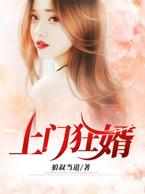 上门狂婿叶枫小说