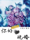 你好晚婚宋丹丹