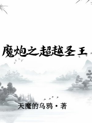 魔炮之超越圣王 小说
