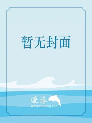 宠物小精灵之不息的追求 小说