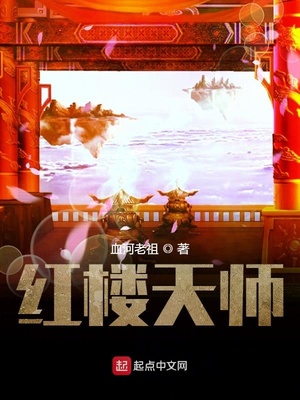 穿越红楼天师