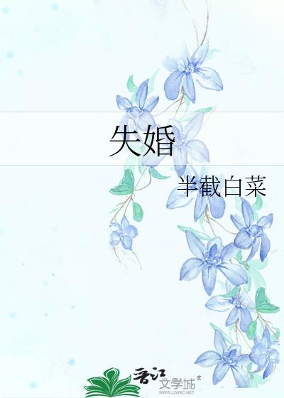 失婚 小说