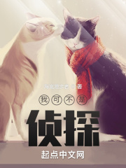 我可不是侦探TXT下载