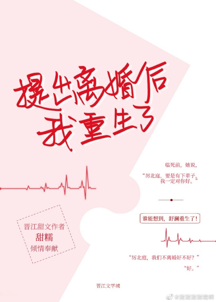 提出离婚后我重生了 小说