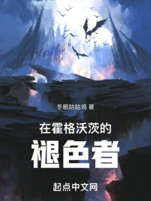在霍格沃茨的褪色者小说