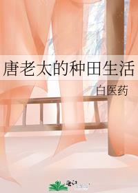 唐老太的种田生活网盘