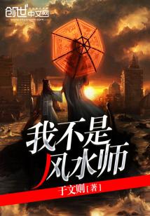 我不是风水师 小说