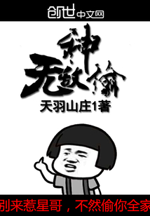 无敌神偷