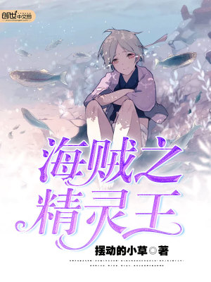 海贼之精灵王者