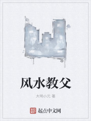 风水教父免费阅读