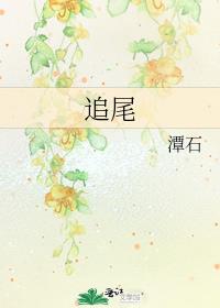 追尾by潭石