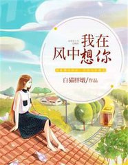 我在风中想你免费阅读