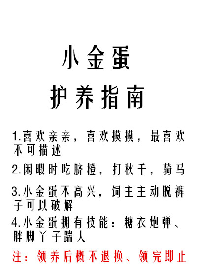 小金蛋护养指南下载
