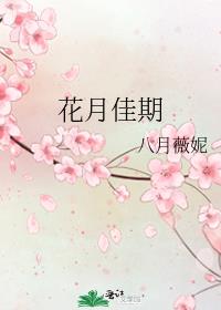 花月佳期百科