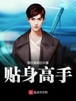 美女总裁的贴身高手段飞
