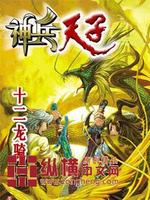 神兵天子小说
