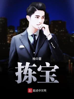 拣宝小说